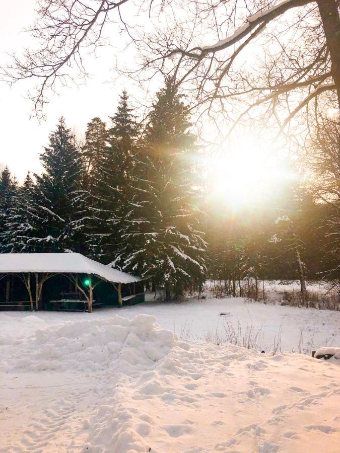 Lesny Dwor Lodge