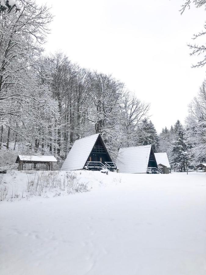 Lodge Lesny Dwor Janowice Wielkie