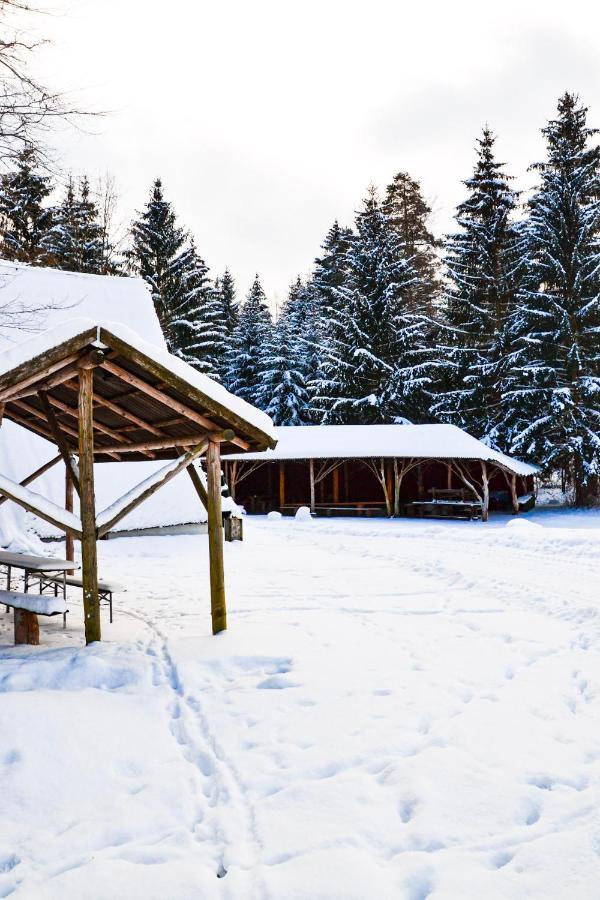 Lesny Dwor Lodge *
