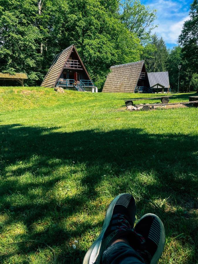 Lesny Dwor Janowice Wielkie